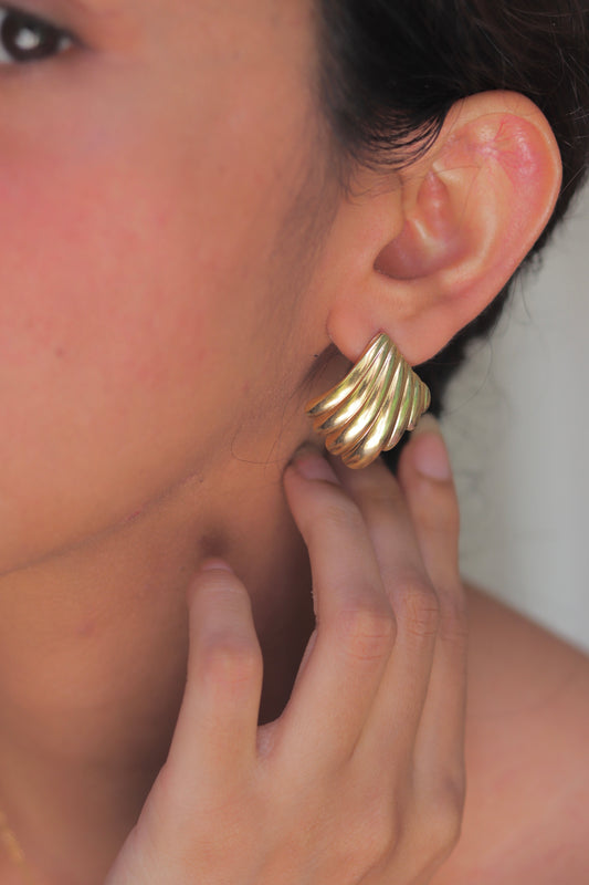Gold Shell Earrings