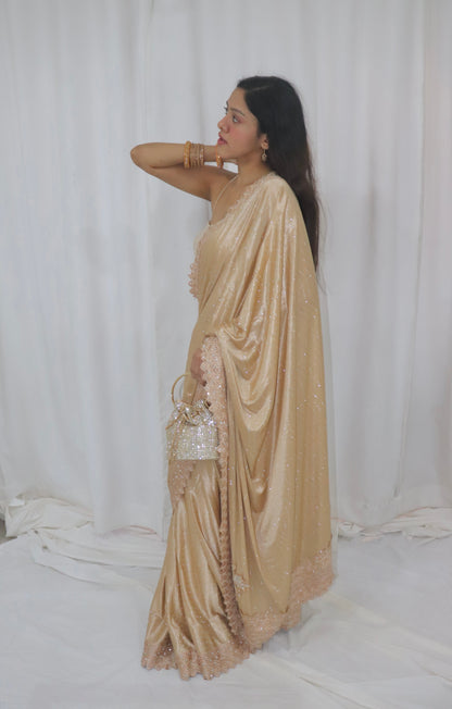 Diya Saree- gold shimmer saree with embellished blouse